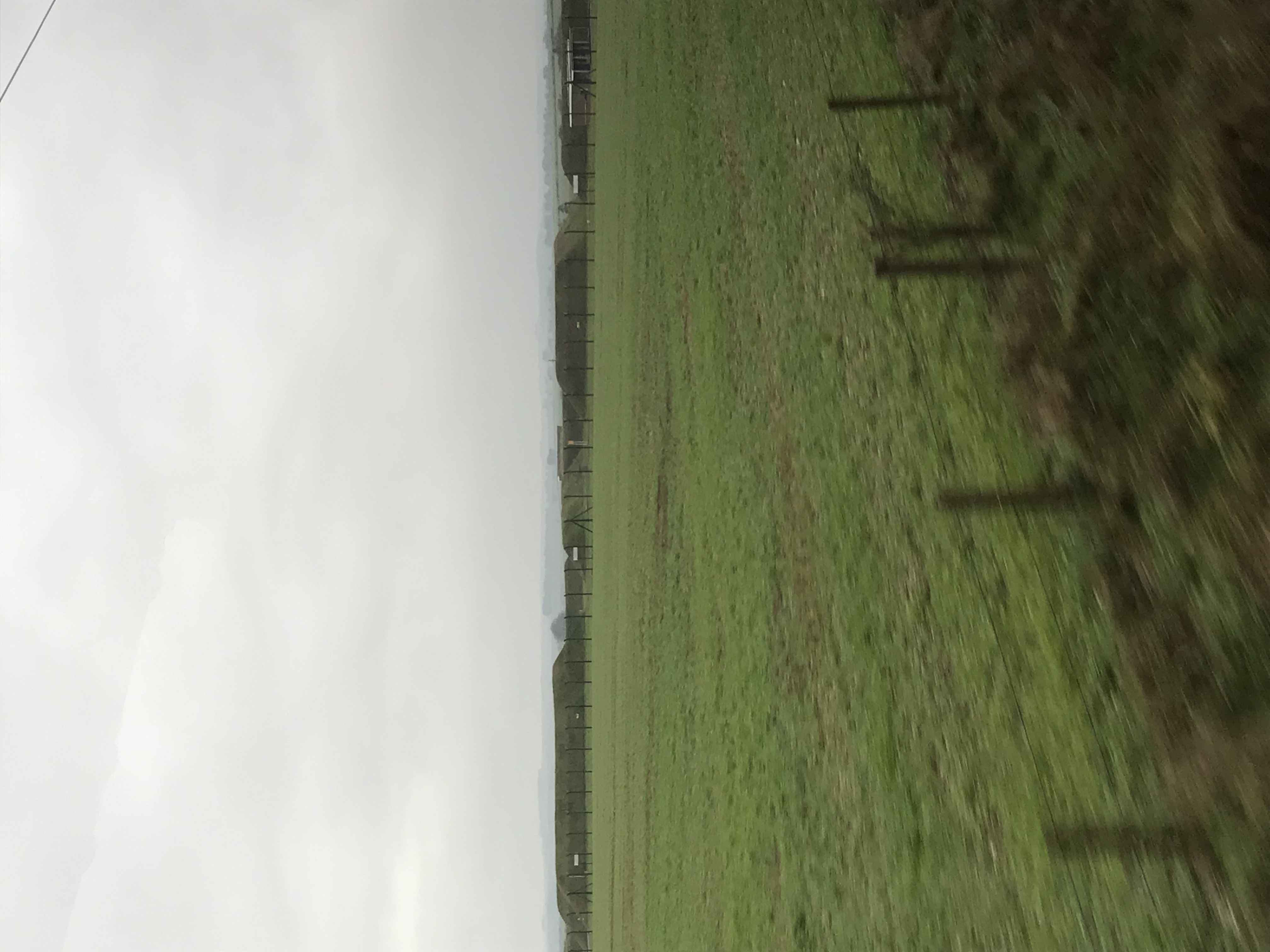 ./2018/15 - London/04 - Day 4/IMG_9259.jpg